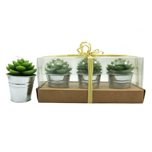 SONOMA Goods for Life™ Unscented Succulent Candle 3-piece Set