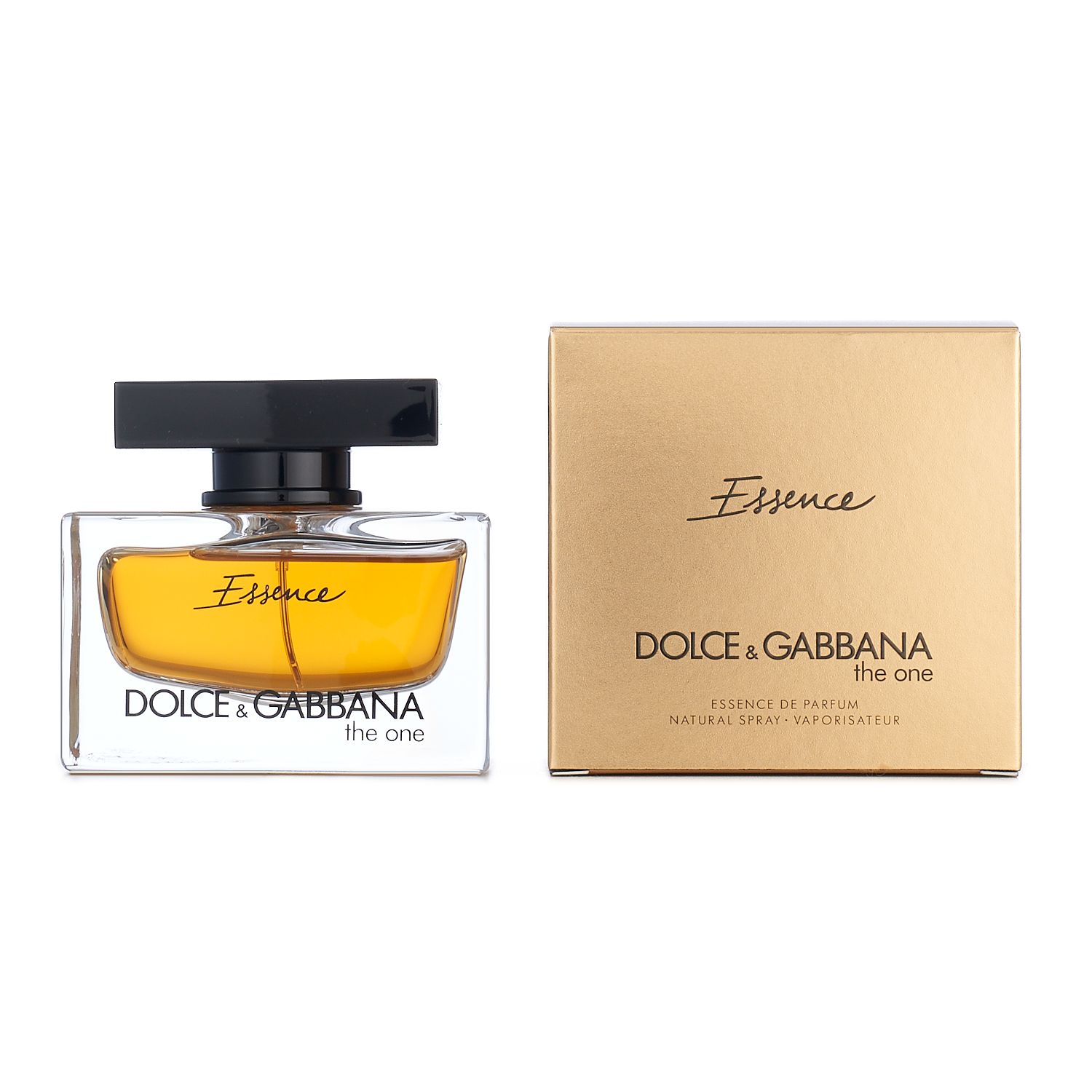 kohls dolce and gabbana the one