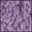 Lilac Ivory