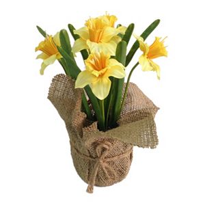 SONOMA Goods for Life™ Artificial Daffodil Potted Plant