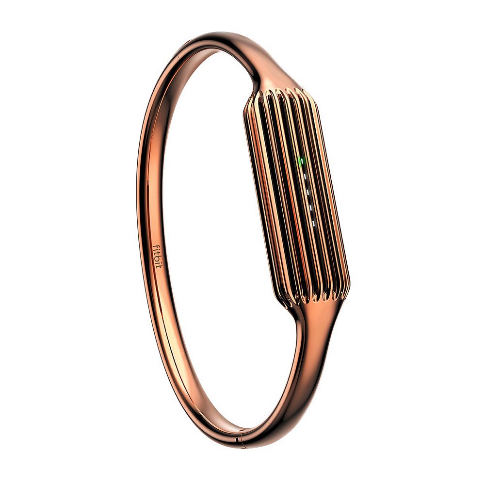 Fitbit Flex 2 Metal Bangle
