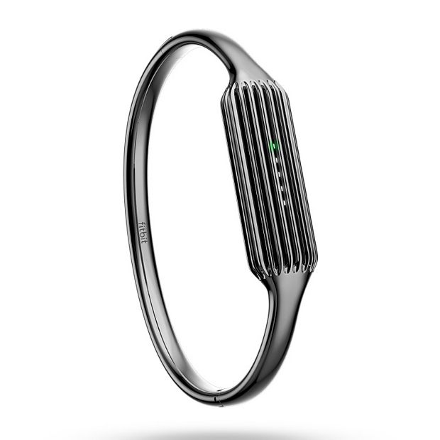 Fitbit Flex 2 Metal Bangle