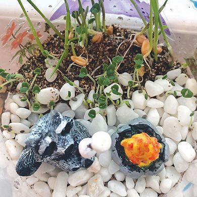 Creativity For Kids Grow n' Glow Terrarium