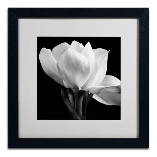 Trademark Fine Art Gardenia Black Framed Wall Art