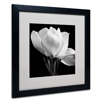 Trademark Fine Art Gardenia Black Framed Wall Art