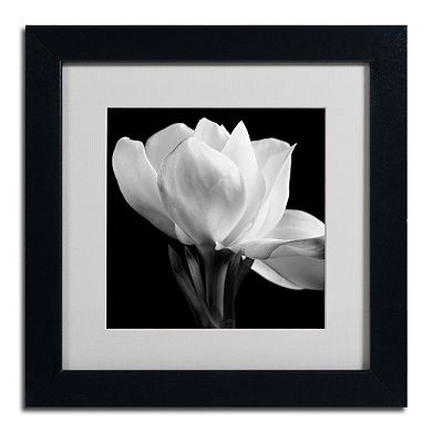 Trademark Fine Art Gardenia Black Framed Wall Art