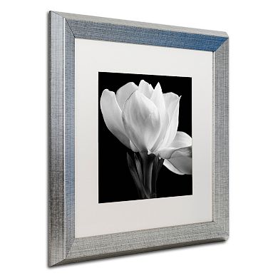 Trademark Fine Art Gardenia Silver Finish Framed Wall Art