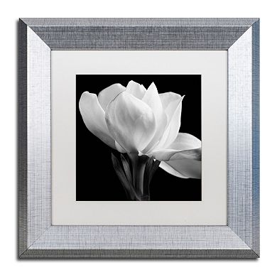 Trademark Fine Art Gardenia Silver Finish Framed Wall Art