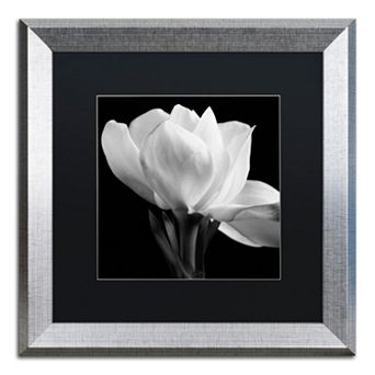 Trademark Fine Art Gardenia Silver Finish Framed Wall Art