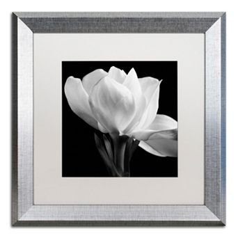 Trademark Fine Art Gardenia Silver Finish Framed Wall Art