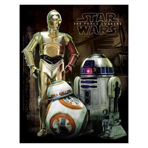 Star Wars: Episode VII The Force Awakens Droid Canvas Wall Art