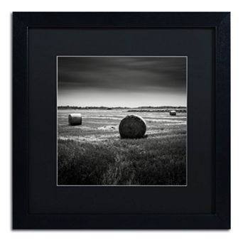Trademark Fine Art Rural Black Framed Wall Art
