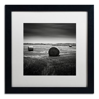 Trademark Fine Art Rural Black Framed Wall Art