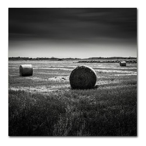 Trademark Fine Art Rural Canvas Wall Art