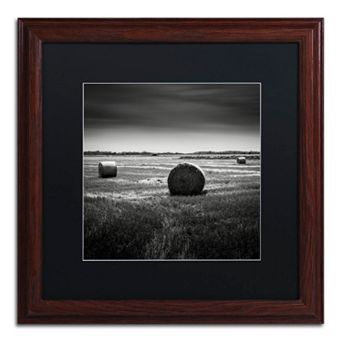 Trademark Fine Art Rural Framed Wall Art