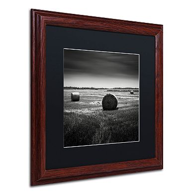 Trademark Fine Art Rural Framed Wall Art