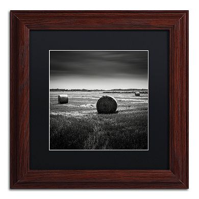 Trademark Fine Art Rural Framed Wall Art
