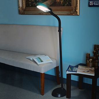 Portsmouth Home Sunlight Black Floor Lamp