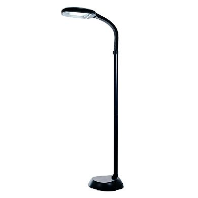 Portsmouth Home Sunlight Black Floor Lamp