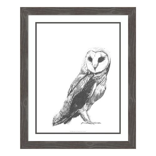 Wildlife Snapshot: Owl Framed Wall Art