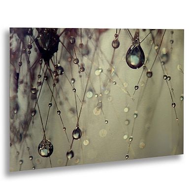 Trademark Fine Art Forgotten Wishes Metal Wall Art