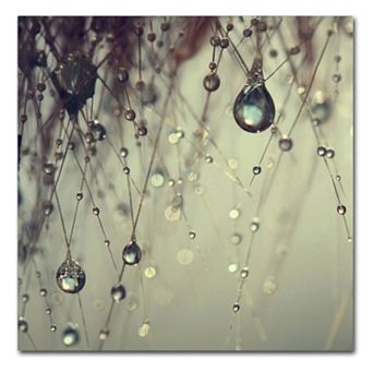 Trademark Fine Art Forgotten Wishes Large Canvas Wall Art