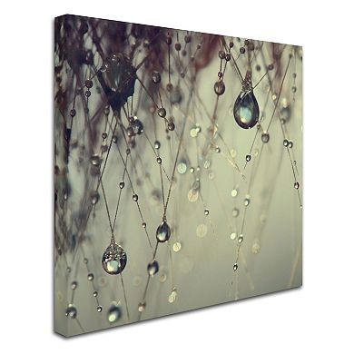 Trademark Fine Art Forgotten Wishes Large Canvas Wall Art