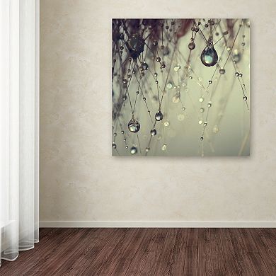 Trademark Fine Art Forgotten Wishes Large Canvas Wall Art