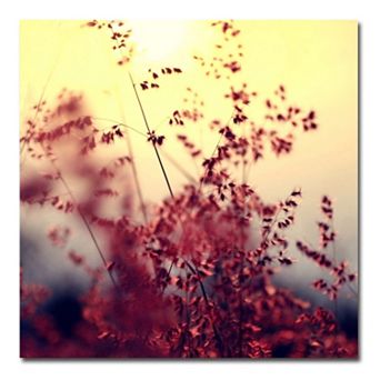 Trademark Fine Art Memories Of You Canvas Wall Art