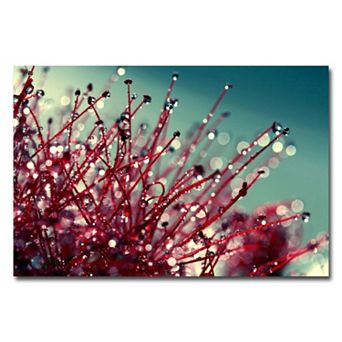 Trademark Fine Art For You And Me Canvas Wall Art