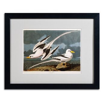 Trademark Fine Art Tropic Bird Black Framed Wall Art