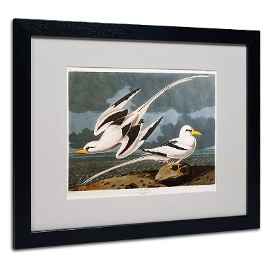 Trademark Fine Art Tropic Bird Black Framed Wall Art
