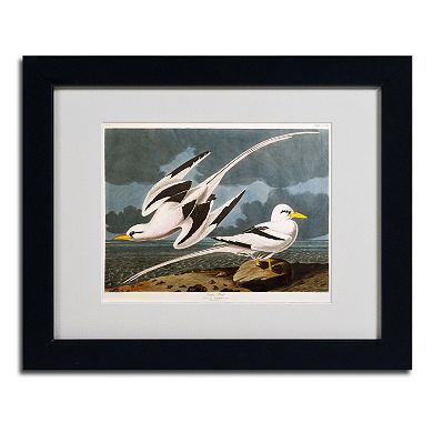 Trademark Fine Art Tropic Bird Black Framed Wall Art