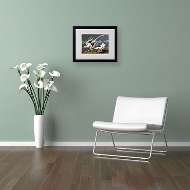 Trademark Fine Art Tropic Bird Black Framed Wall Art