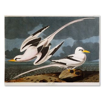 Trademark Fine Art Tropic Bird Canvas Wall Art