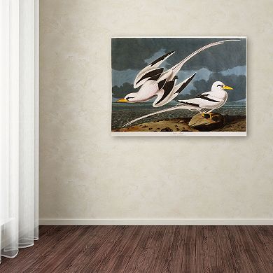 Trademark Fine Art Tropic Bird Canvas Wall Art