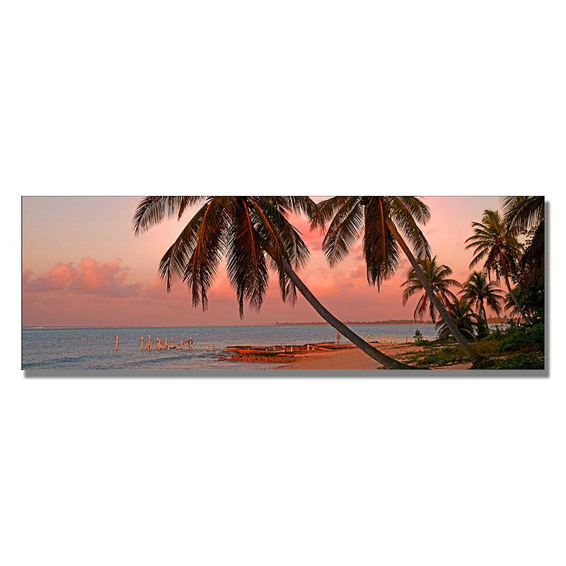 Trademark Fine Art Cayman Palms II Canvas Wall Art, Orange, 8X24