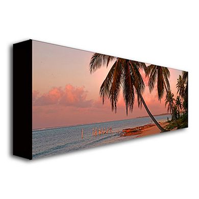 Trademark Fine Art Cayman Palms II Canvas Wall Art