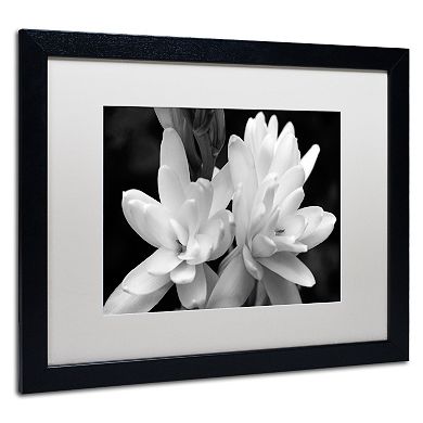 Trademark Fine Art Tuber Rose In Black And White Framed Wall Art