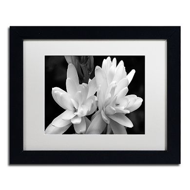 Trademark Fine Art Tuber Rose In Black And White Framed Wall Art