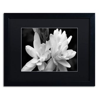 Trademark Fine Art Tuber Rose In Black And White Framed Wall Art