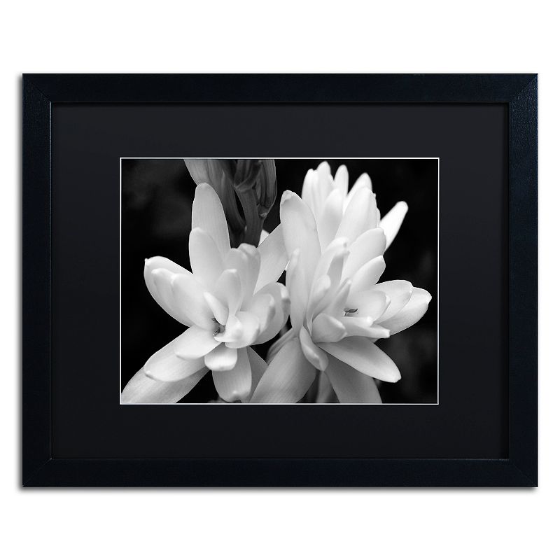 Trademark Fine Art Tuber Rose In Black And White Framed Wall Art, 16X20