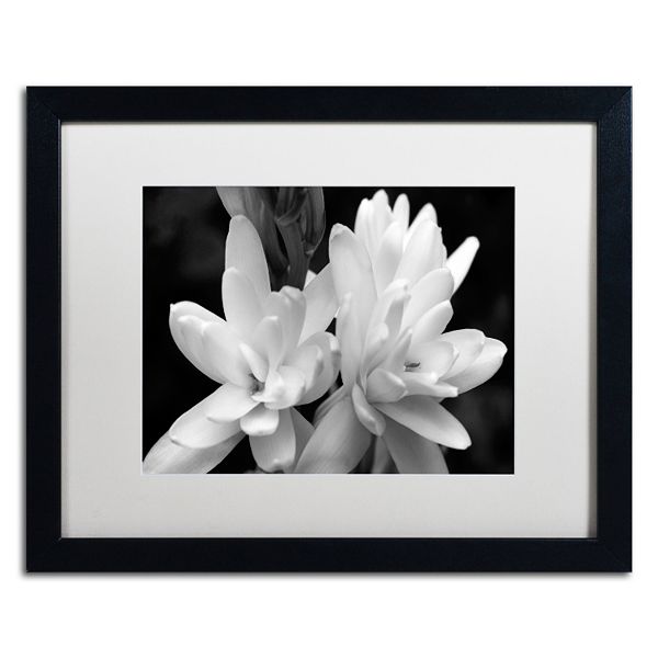 Trademark Fine Art Tuber Rose In Black And White Framed Wall Art