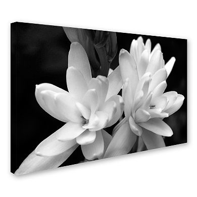 Trademark Fine Art Tuber Rose In Black And White Canvas Wall Art