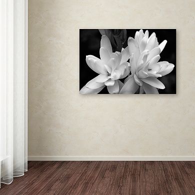 Trademark Fine Art Tuber Rose In Black And White Canvas Wall Art