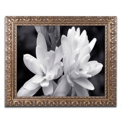 Trademark Fine Art Tuber Rose In Black And White Ornate Framed Wall Art