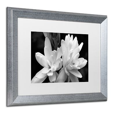 Trademark Fine Art Tuber Rose Silver Finish Framed Wall Art