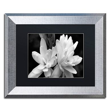 Trademark Fine Art Tuber Rose Silver Finish Framed Wall Art
