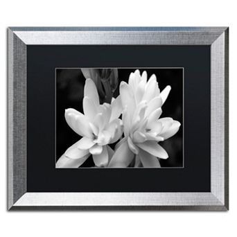 Trademark Fine Art Tuber Rose Silver Finish Framed Wall Art