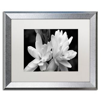 Trademark Fine Art Tuber Rose Silver Finish Framed Wall Art